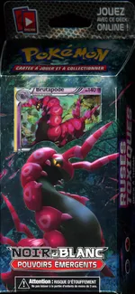 Auction visual on GCC