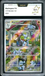 Auction visual on GCC