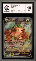 Auction visual on GCC