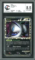 Auction visual on GCC