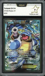 Auction visual on GCC