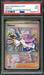 Auction visual on GCC