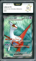 Auction visual on GCC
