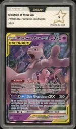 Auction visual on GCC