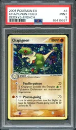 Auction visual on GCC