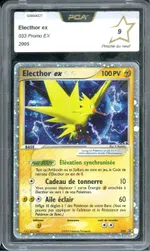Auction visual on GCC