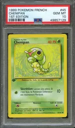 Auction visual on GCC