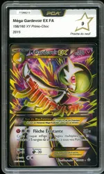 Auction visual on GCC
