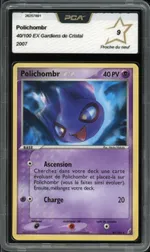 Auction visual on GCC