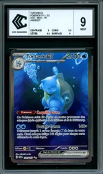 Auction visual on GCC