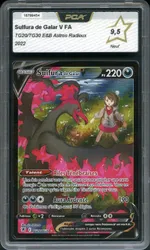 Auction visual on GCC