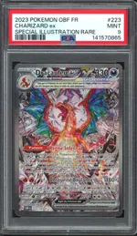 Auction visual on GCC