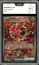 Auction visual on GCC