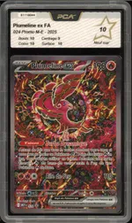 Auction visual on GCC