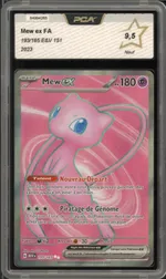 Auction visual on GCC