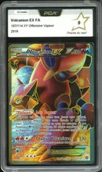 Auction visual on GCC