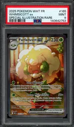 Auction visual on GCC