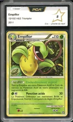 Auction visual on GCC