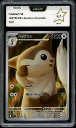 Auction visual on GCC