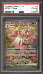 Auction visual on GCC