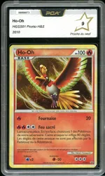 Auction visual on GCC