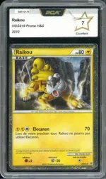 Auction visual on GCC