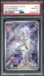 Auction visual on GCC