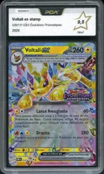 Auction visual on GCC