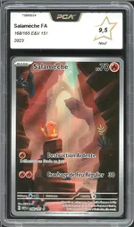 Auction visual on GCC