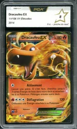 Auction visual on GCC