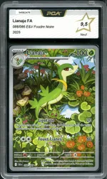 Auction visual on GCC