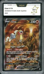 Auction visual on GCC