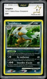 Auction visual on GCC