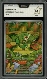 Auction visual on GCC