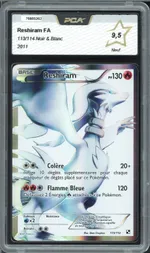 Auction visual on GCC