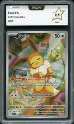 Auction visual on GCC