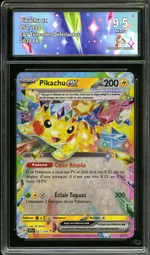 Auction visual on GCC