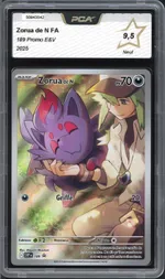 Auction visual on GCC