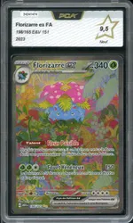 Auction visual on GCC