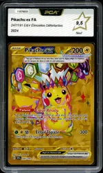 Auction visual on GCC