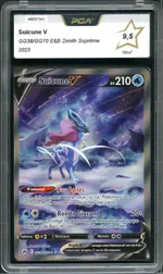 Auction visual on GCC