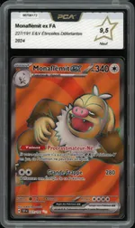 Auction visual on GCC