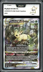 Auction visual on GCC