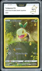 Auction visual on GCC
