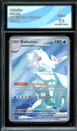 Auction visual on GCC