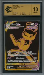 Auction visual on GCC