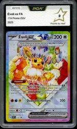 Auction visual on GCC