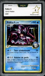 Auction visual on GCC