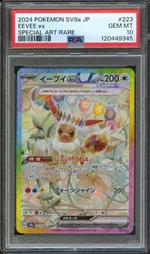 Auction visual on GCC