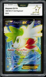 Auction visual on GCC